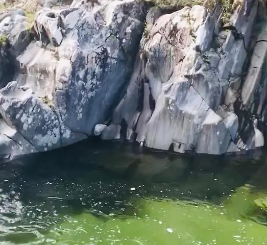 Un Ecrin De Verdure Face A La *