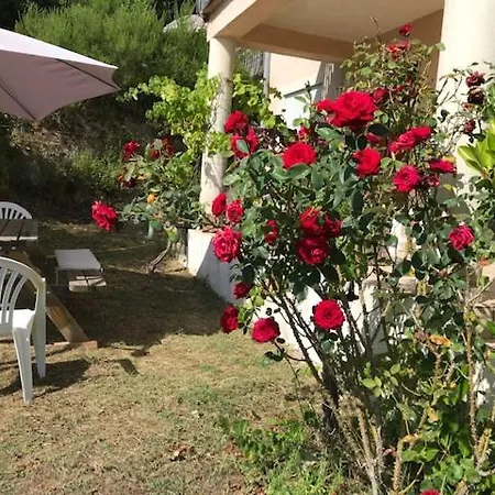 Un Ecrin De Verdure Face A La Semesterbostad Isolaccio-di-Fiumorbo