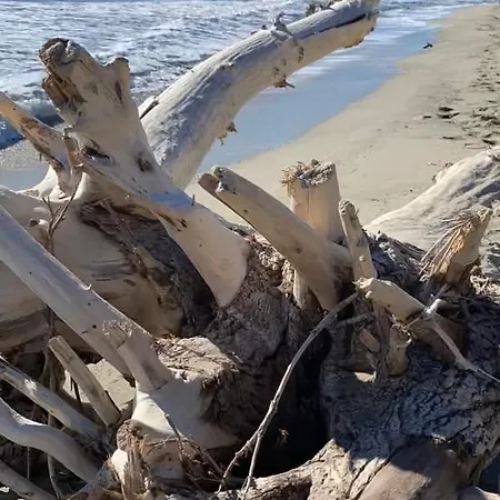 Un Ecrin De Verdure Face A La *