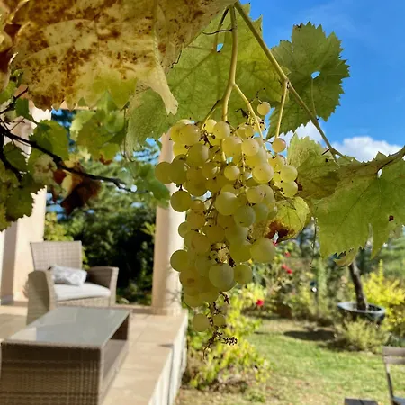 Un Ecrin De Verdure Face A La Semesterbostad