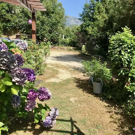 Un Ecrin De Verdure Face A La