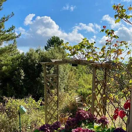 Semesterbostad Un Ecrin De Verdure Face A La Isolaccio-di-Fiumorbo