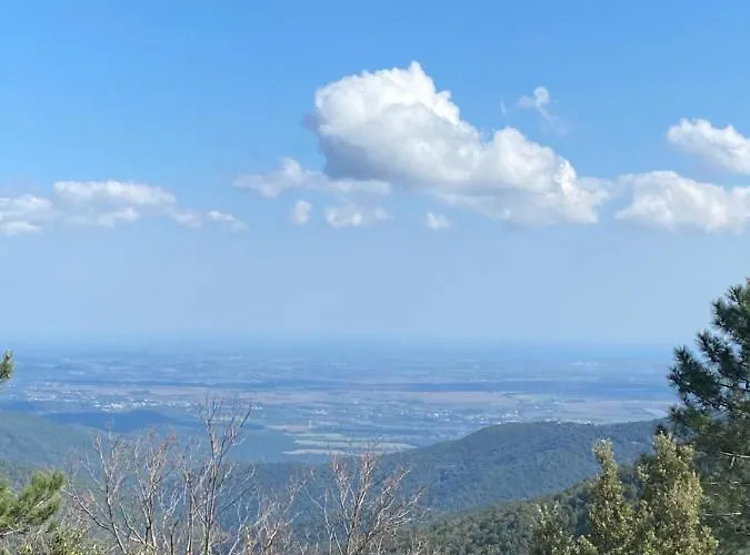 度假居 Un Ecrin De Verdure Face A La