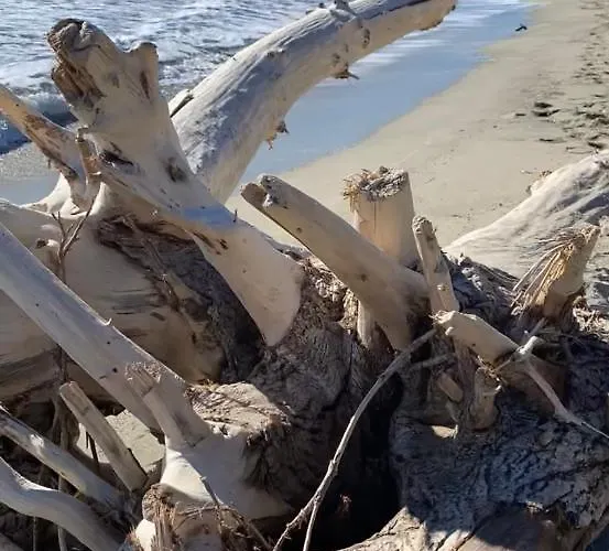 Un Ecrin De Verdure Face A La *