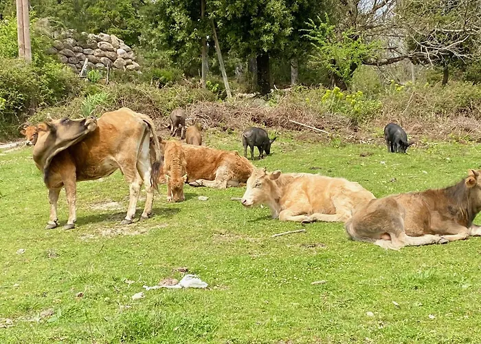Prázdninový dům Un Ecrin De Verdure Face A La