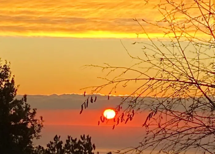 Un Ecrin De Verdure Face A La 度假居 Isolaccio-di-Fiumorbo