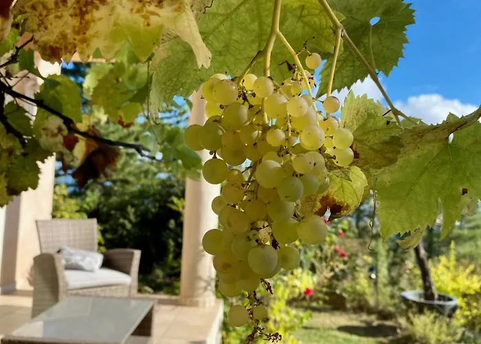 Un Ecrin De Verdure Face A La 度假居