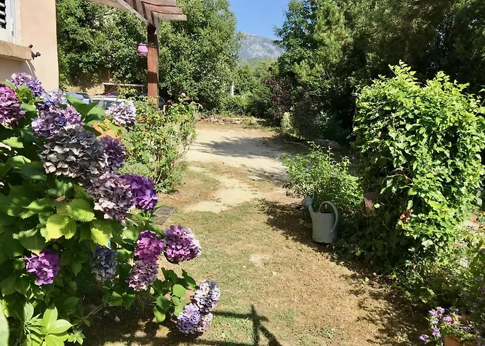 Un Ecrin De Verdure Face A La